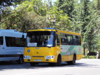 В летнее время в Сухуме увеличено количество рейсов общественного транспорта
